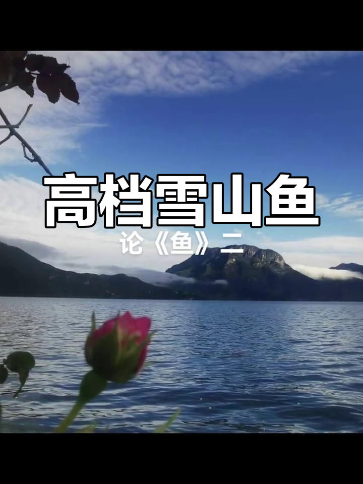 丽江香格里拉雪山鱼,洱海河鲜美味