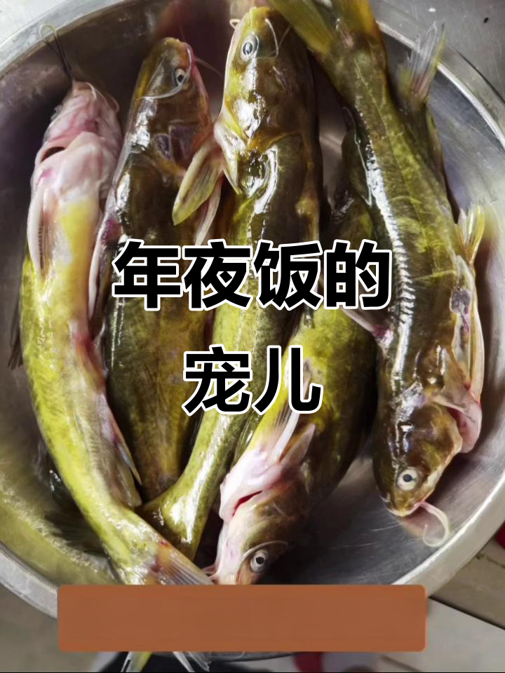 黄辣丁鲜嫩可口，浓郁酱汁让人欲罢不能