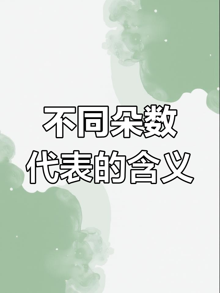 情人节玫瑰花语解析
