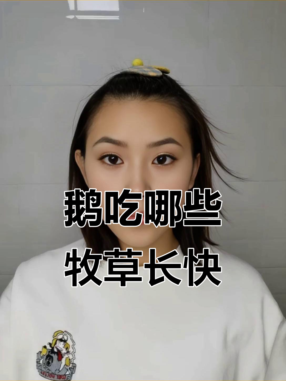 鹅吃什么牧草长得快?五种最佳选择推荐