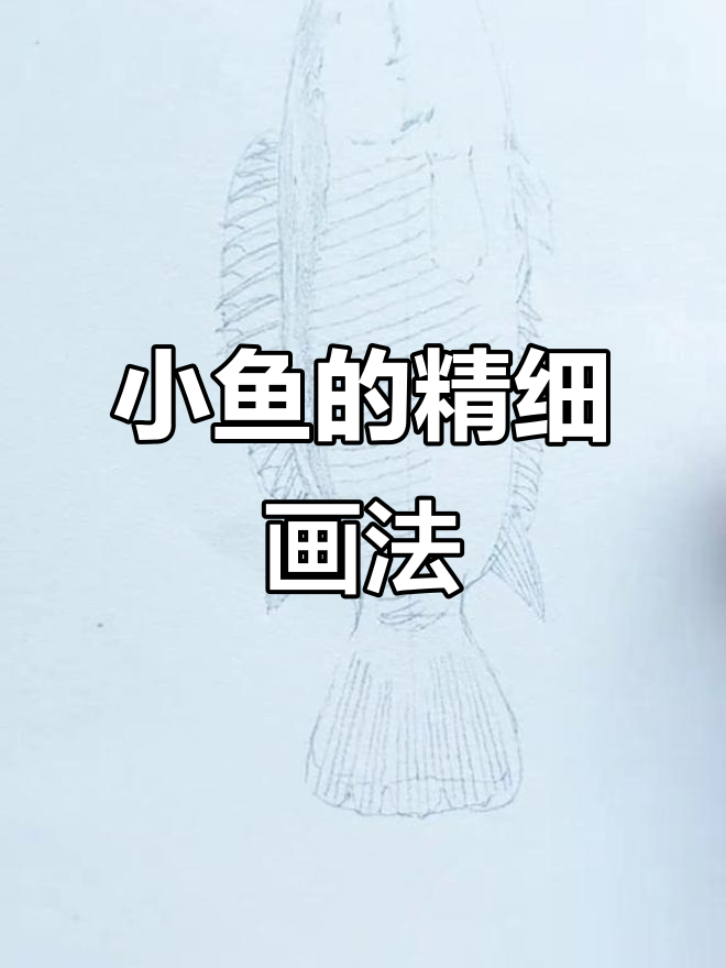 细致入微的鱼画技巧，掌握这些步骤轻松画出栩栩如生的鱼儿