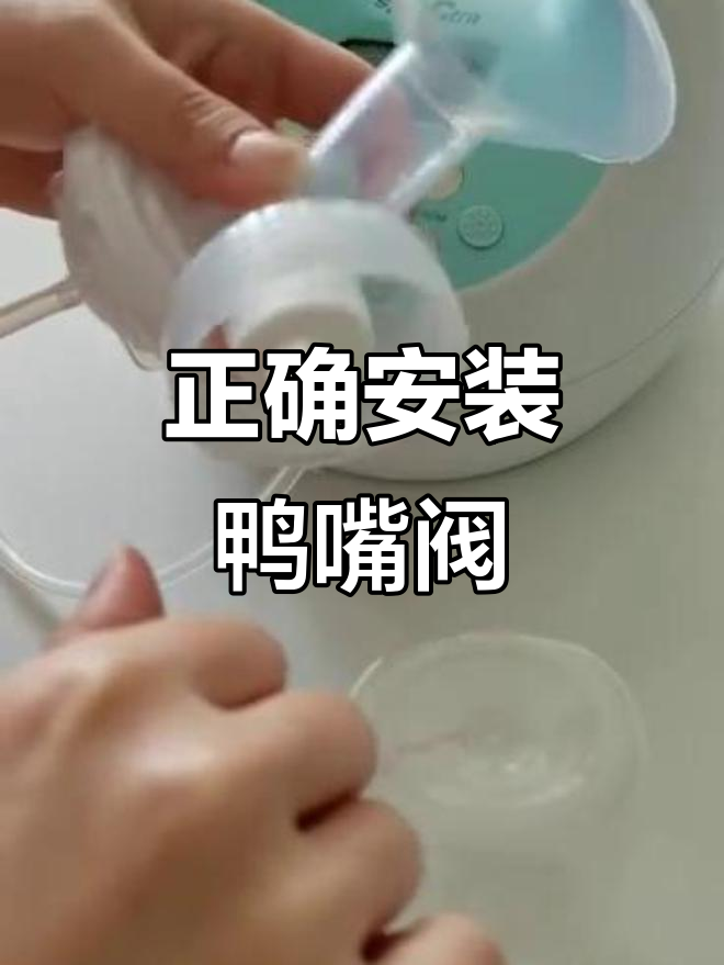 鸭嘴阀安装与拆卸技巧,避免损坏