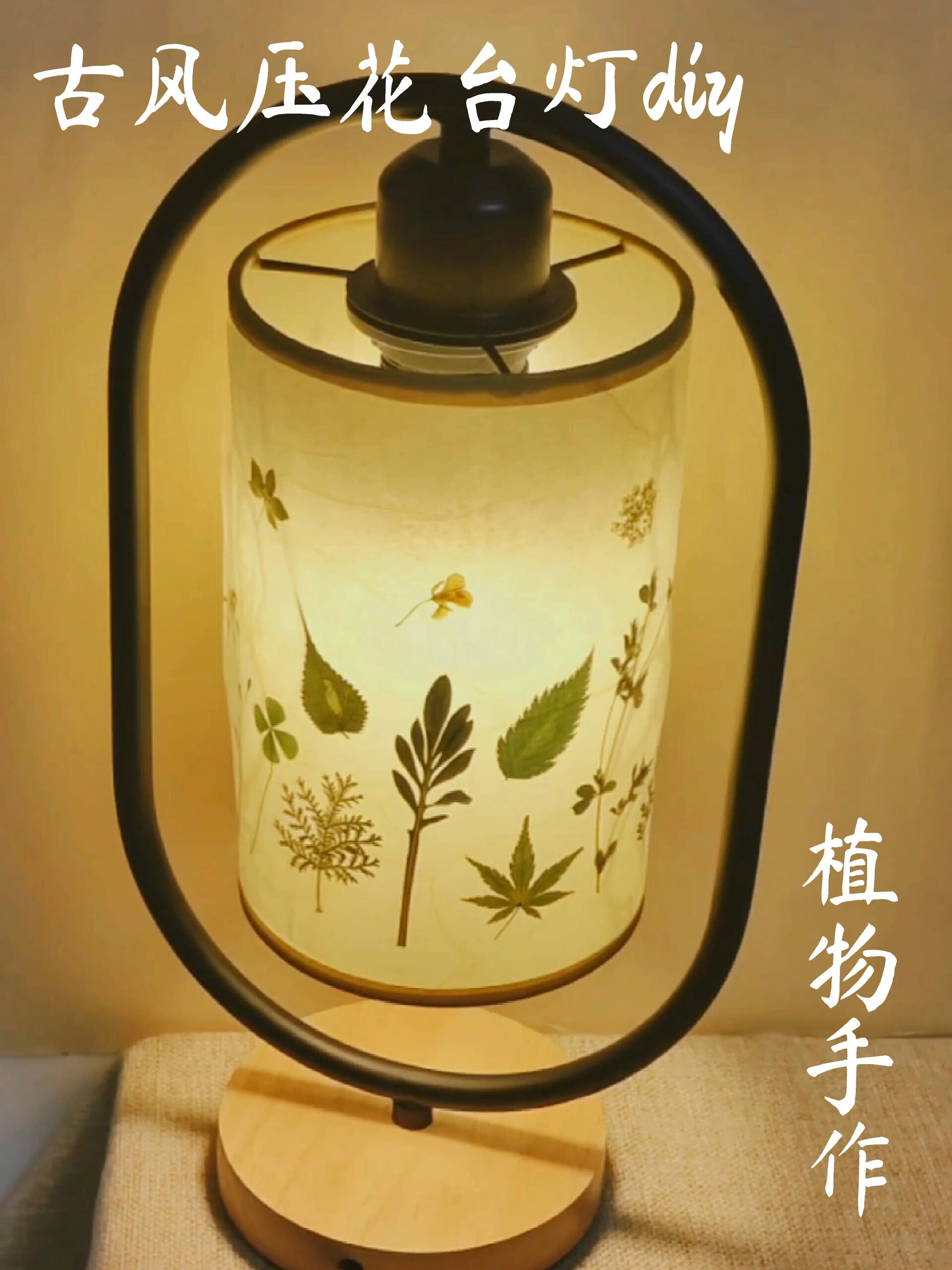 古风压花台灯手工教程|用植物点亮家