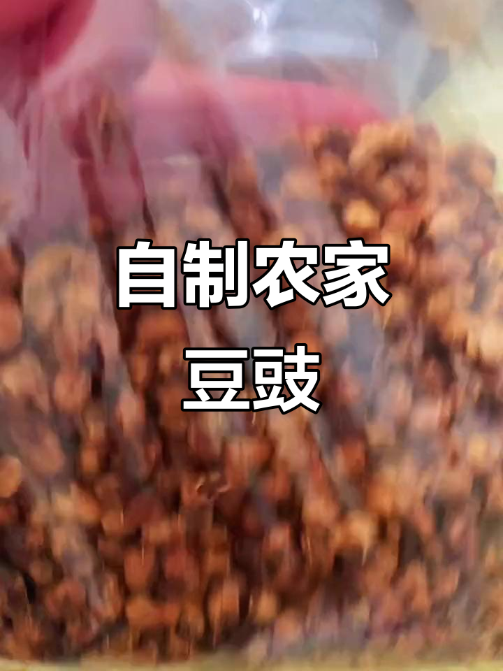 农家风味豆豉,小炒肉必备的调味品