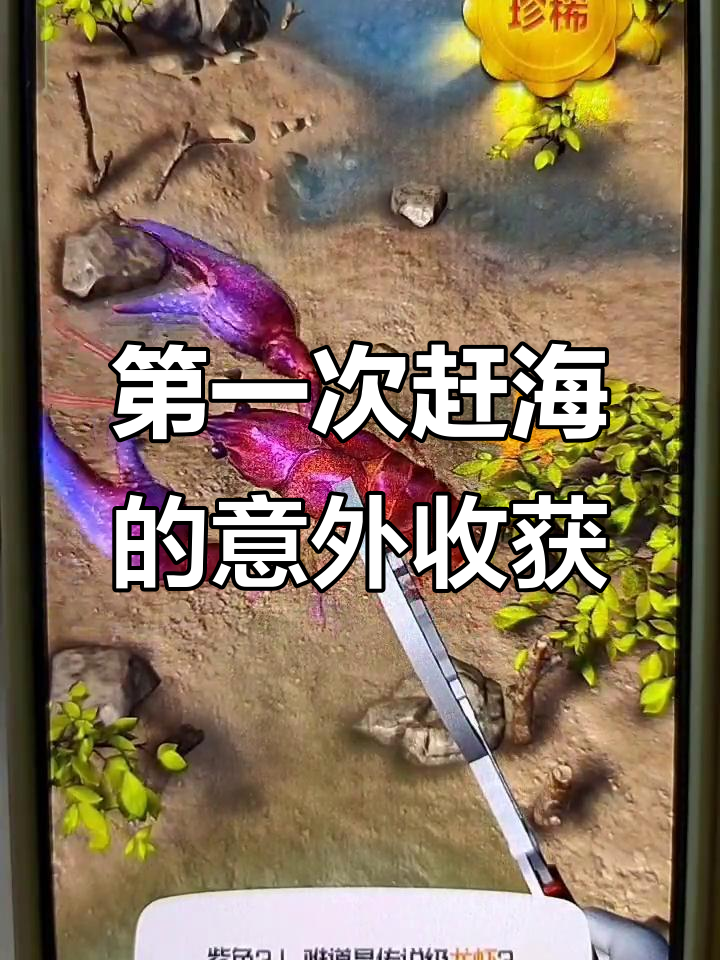 赶海抓到奇怪“玩具”，原来是面包蟹和紫龙虾！