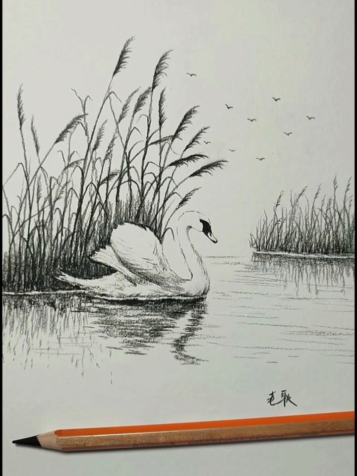 湖中天鹅的画法,你学会了吗