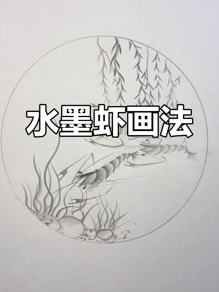 简单几笔画出栩栩如生的水墨虾,轻松学会齐白石风格