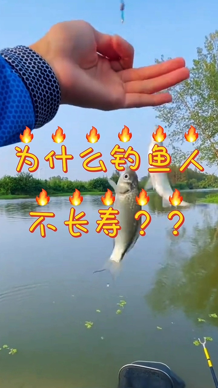 钓鱼趣事