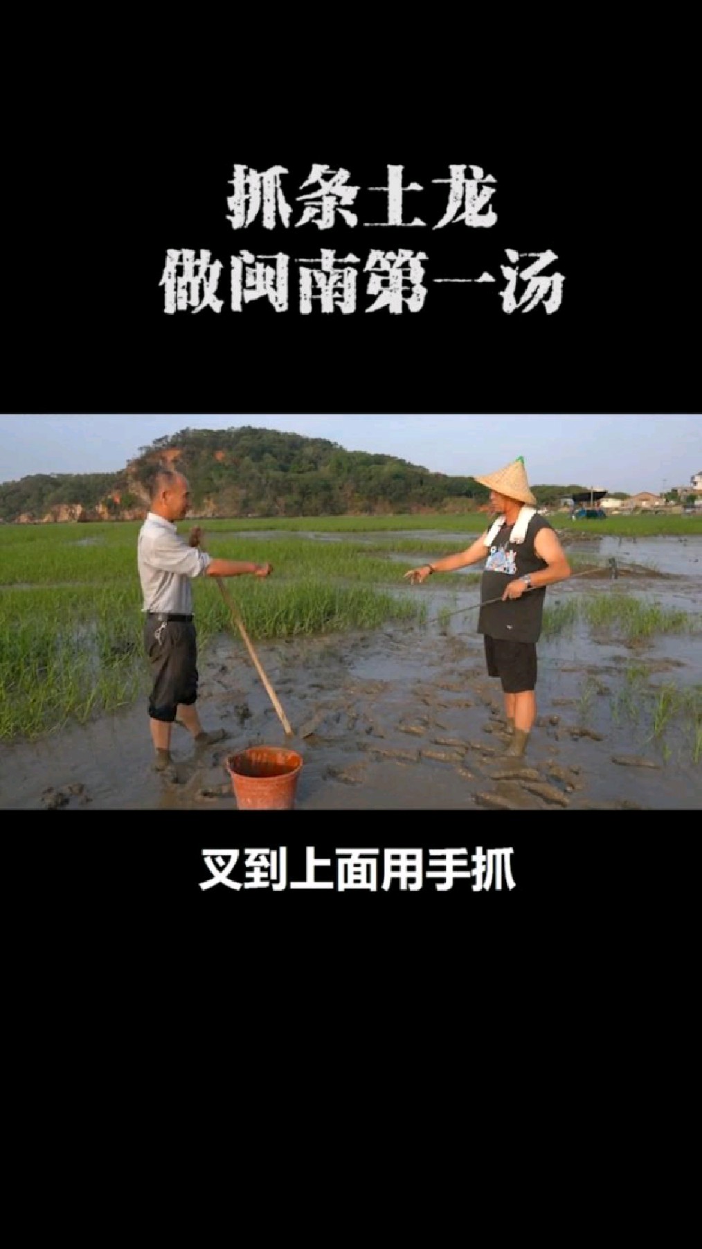 这一锅土龙汤下去，半夜又要拉着阿桥跑五公里