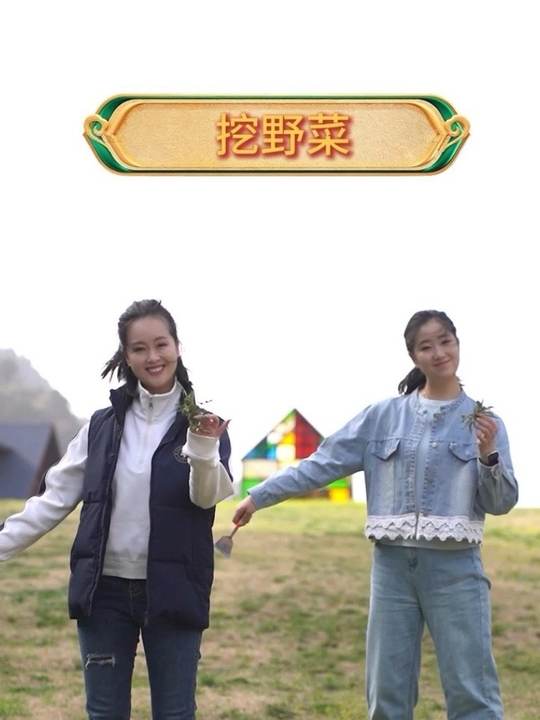 春日挖野菜，还有哪些种类？