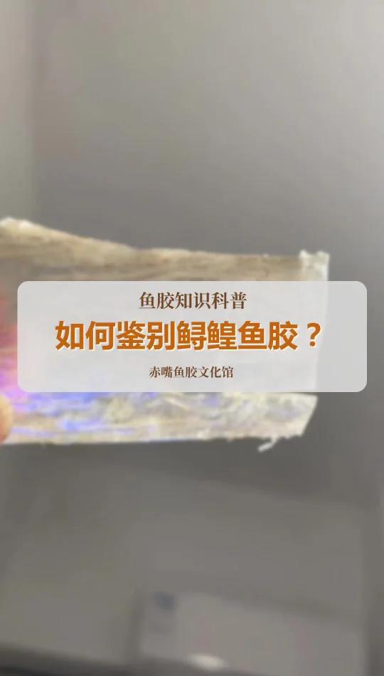 如何鉴别鲟鳇鱼胶真假?