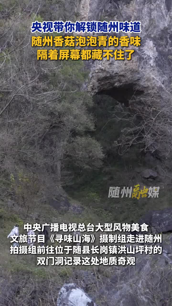 「视频」央视再次聚焦随州舌尖上的骄傲:泡泡青与香菇,带你解锁随州味道!香味隔着屏幕都藏不住