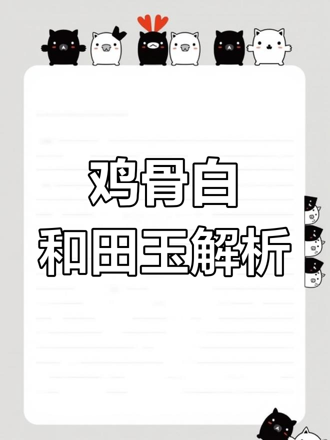 和田玉鸡骨白籽料揭秘:黄皮与干油性差的完美结合