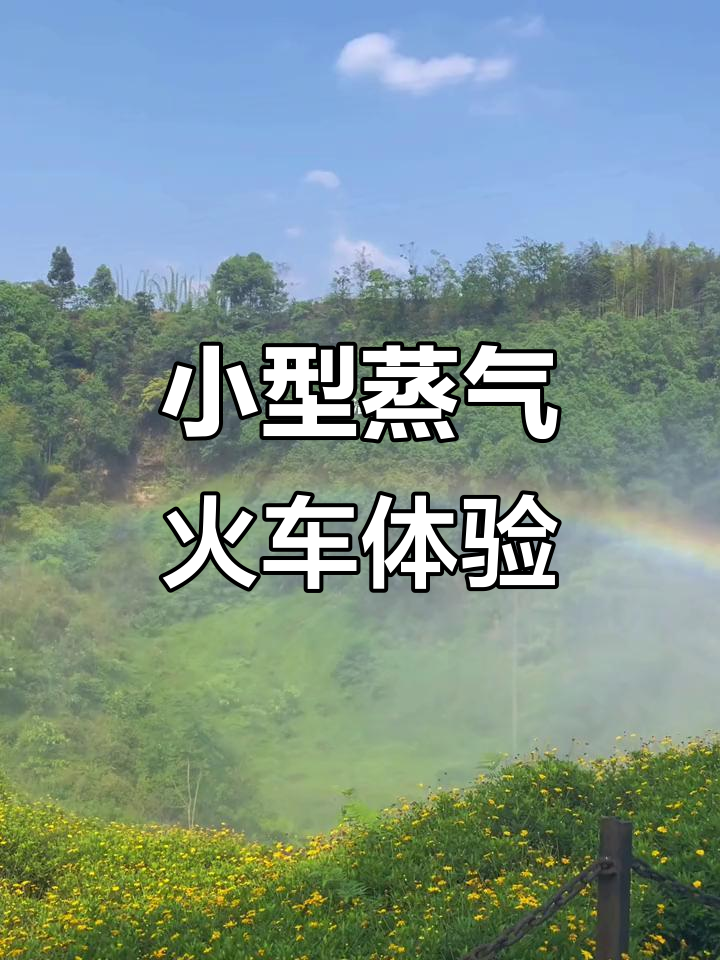 迷你蒸汽火车来袭,托马斯小火车带你穿越历史