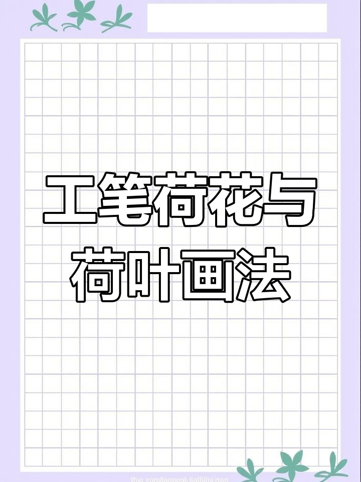 传统工笔画荷叶白描技巧解析