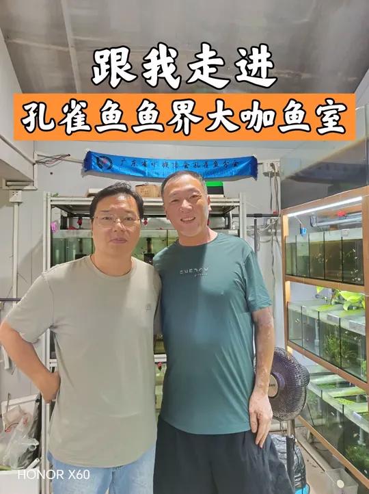 「孔雀鱼」大咖级人物他来了-中国潮州重量级人物 蔡可平 蔡可平玩鱼几十年,在孔雀鱼圈子里可