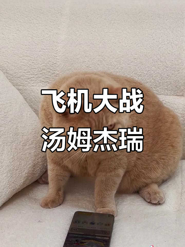 小野变身飞行员,猫和老鼠大乱斗!