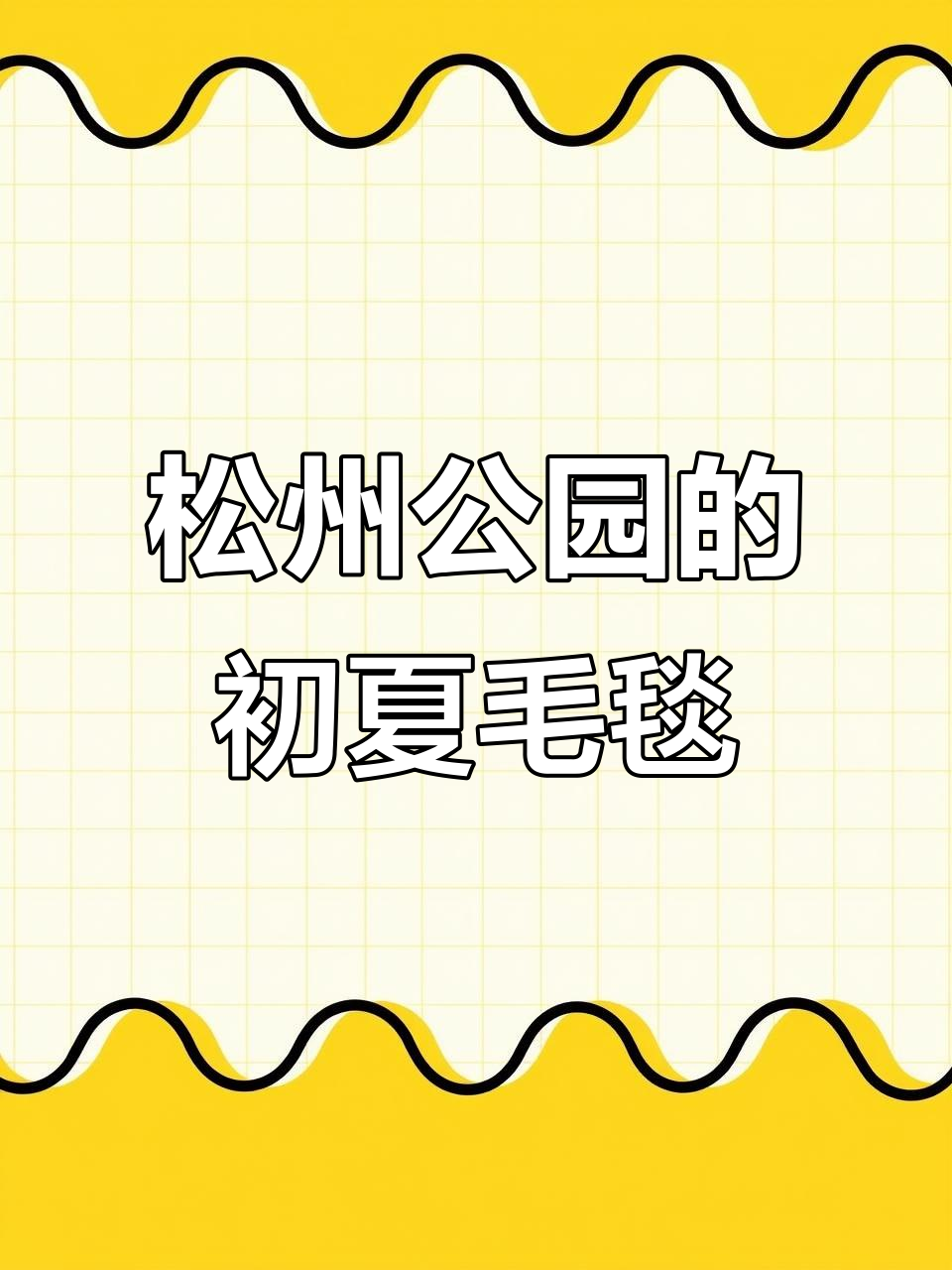 松州公园的初夏毛茸魅力,匍枝委陵菜带来温暖气息