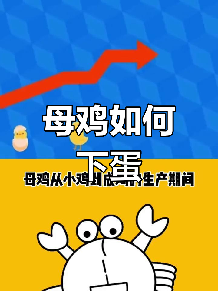 母鸡下蛋的原理