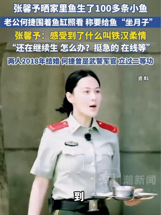 张馨予晒家里的大鱼生下了100多条小鱼,丈夫何捷围着鱼缸照看,张馨予:感受到了什么叫铁汉柔
