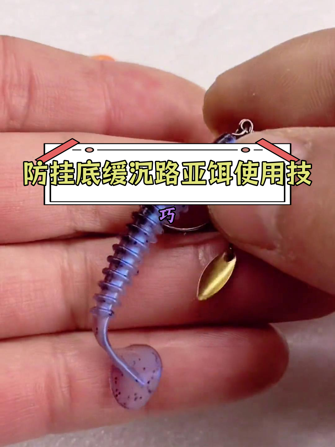 路亚初学者如何快速搭配梯尾鱼