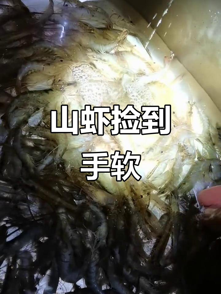 今晚捡山虾,手软到不行!一个接一个的惊喜
