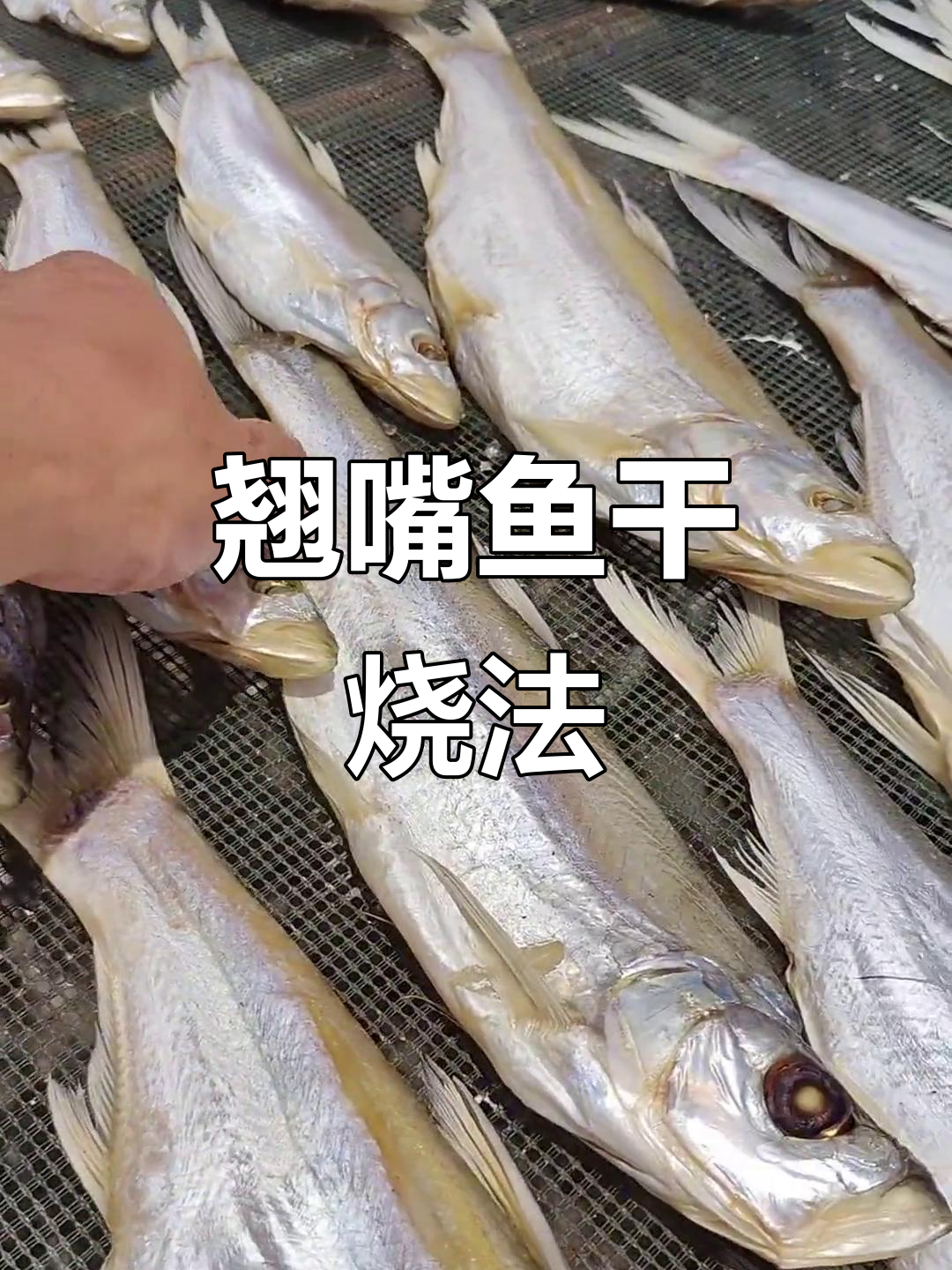 大别山翘嘴鱼干,红烧美味下饭又下酒