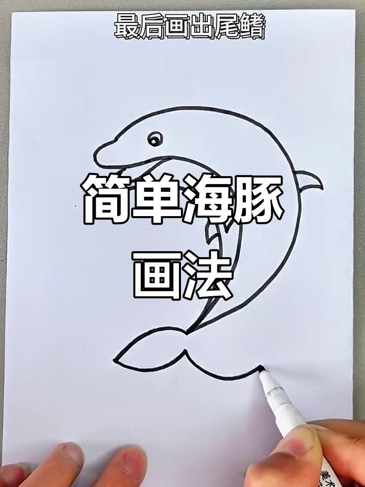 海豚简笔画教程,轻松画出可爱海豚