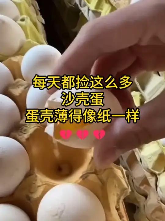  蛋鸡营养补充包是什么 禽乐乐,寡糖螯合有机微量元素  减少破蛋率和沙壳蛋,每吨饲料增值近