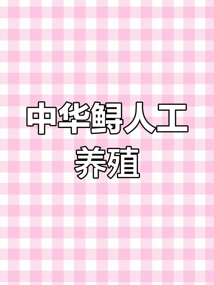 兰江中华鲟养殖基地探秘