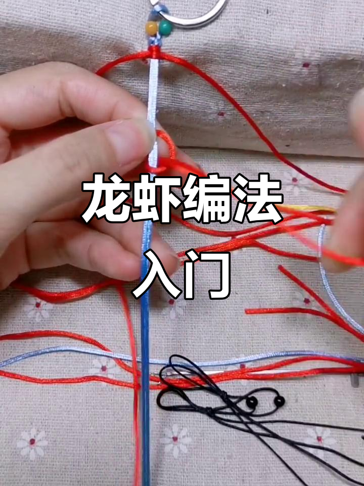 龙虾编织初体验,感谢支持!