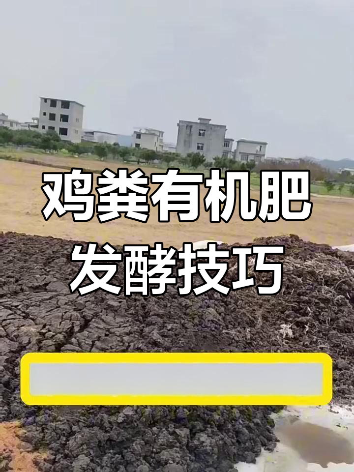 鸡粪发酵不烧根,操作步骤全解析