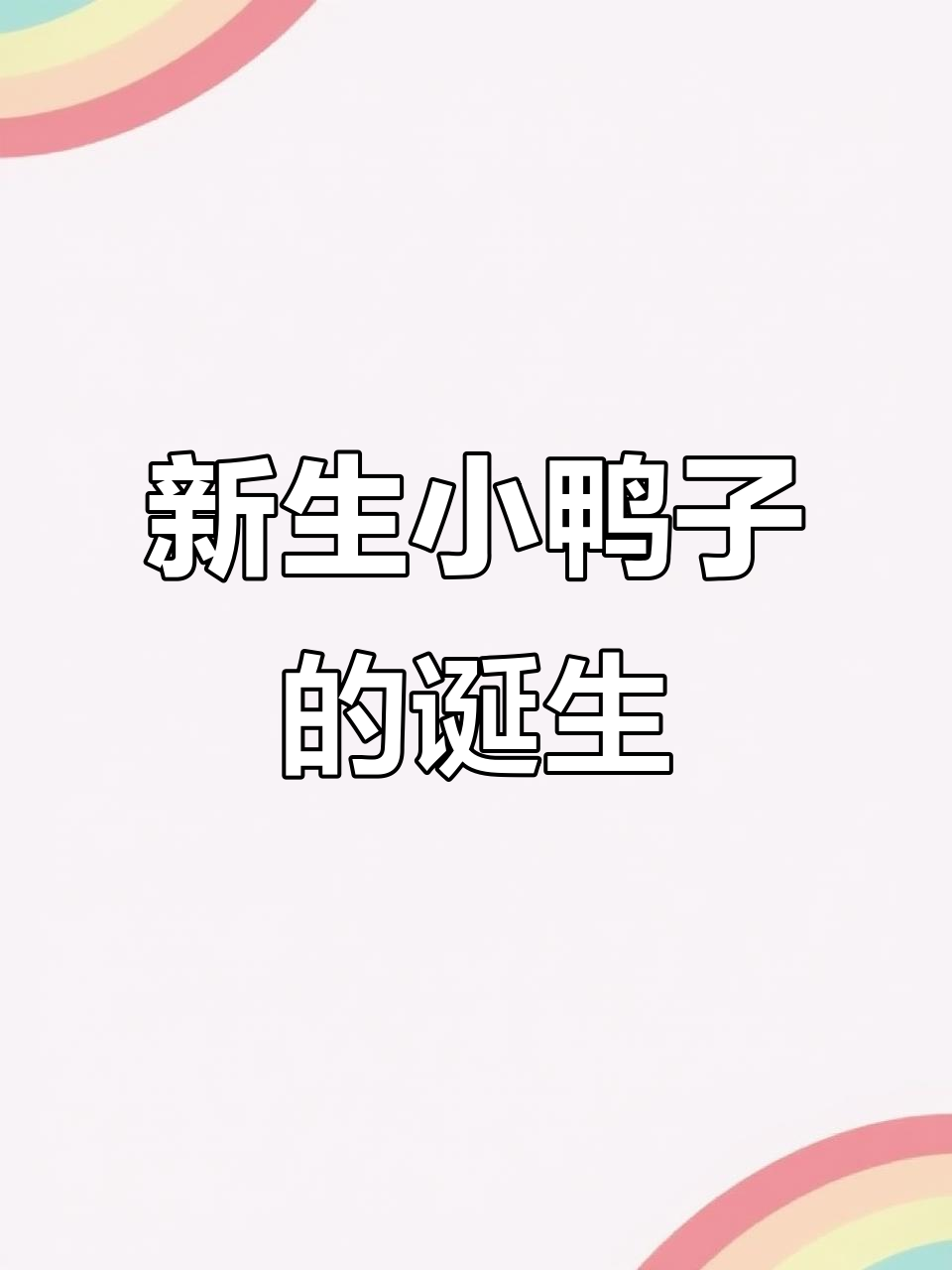 小鸭子破壳瞬间,生命诞生全过程实拍!