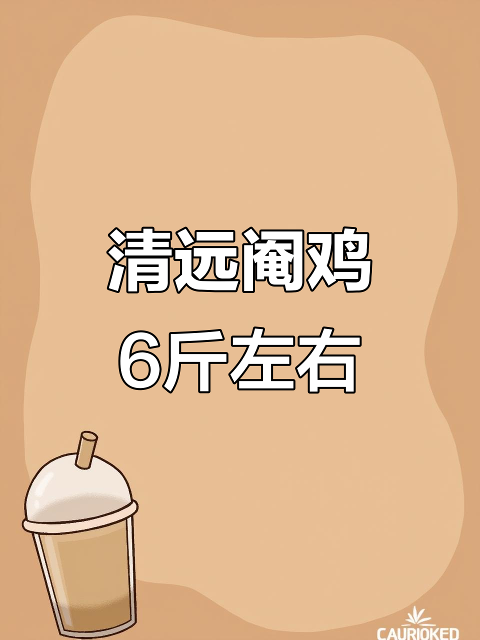 195天清远阉鸡,均重6斤左右!头凤尾靓丽登场
