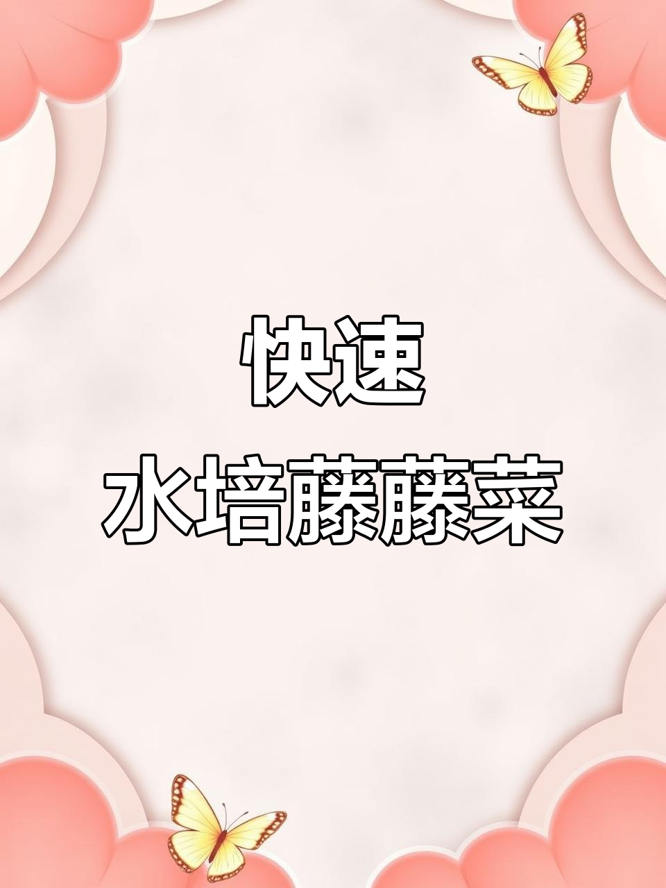 水培藤藤菜,长得快又干净,阳台种菜超简单