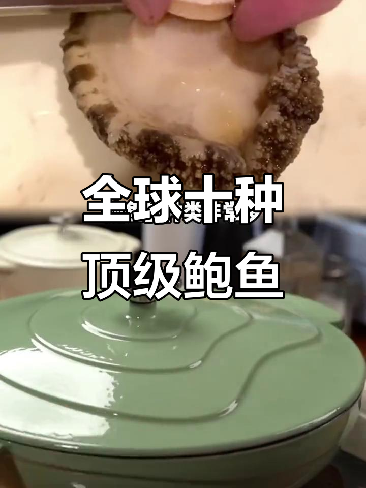 世界十大最昂贵鲍鱼品种,极品干货与鲜活两头鲍价格大揭秘