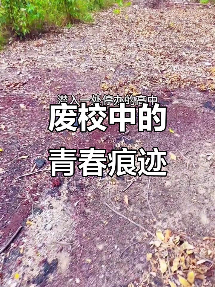 废弃高中校园里的青春记忆,走廊标语依旧清晰