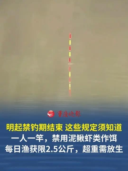 7月1日0:00时,重庆为期4个月的禁钓期即将结束 这些规定必须知道:一人一竿,禁用泥鳅、