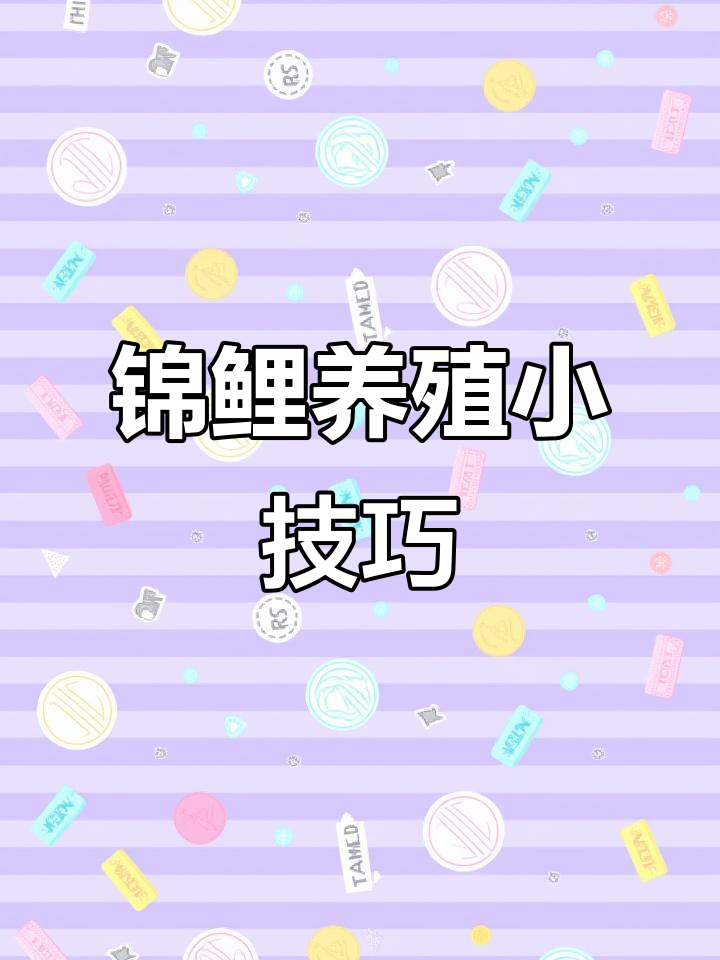 新鱼老池合缸,必备靓鱼宝让水质焕然一新