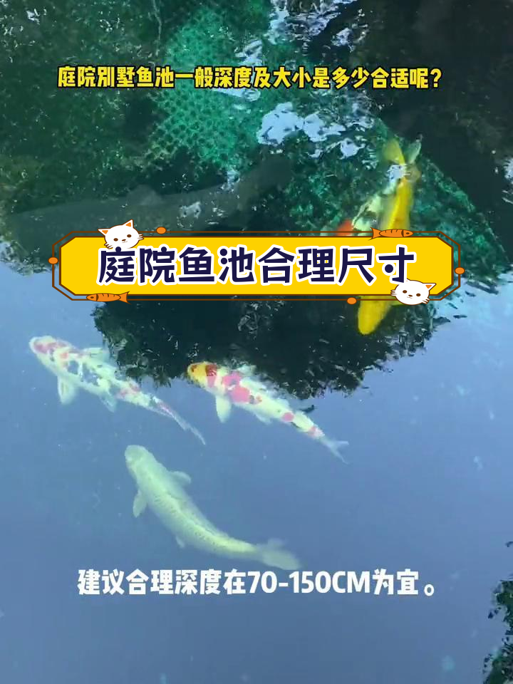 庭院鱼池深度与大小设置指南