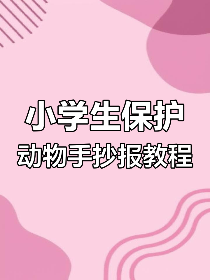 简单步骤教你做保护动物手抄报,熊猫和其他小动物等你来画