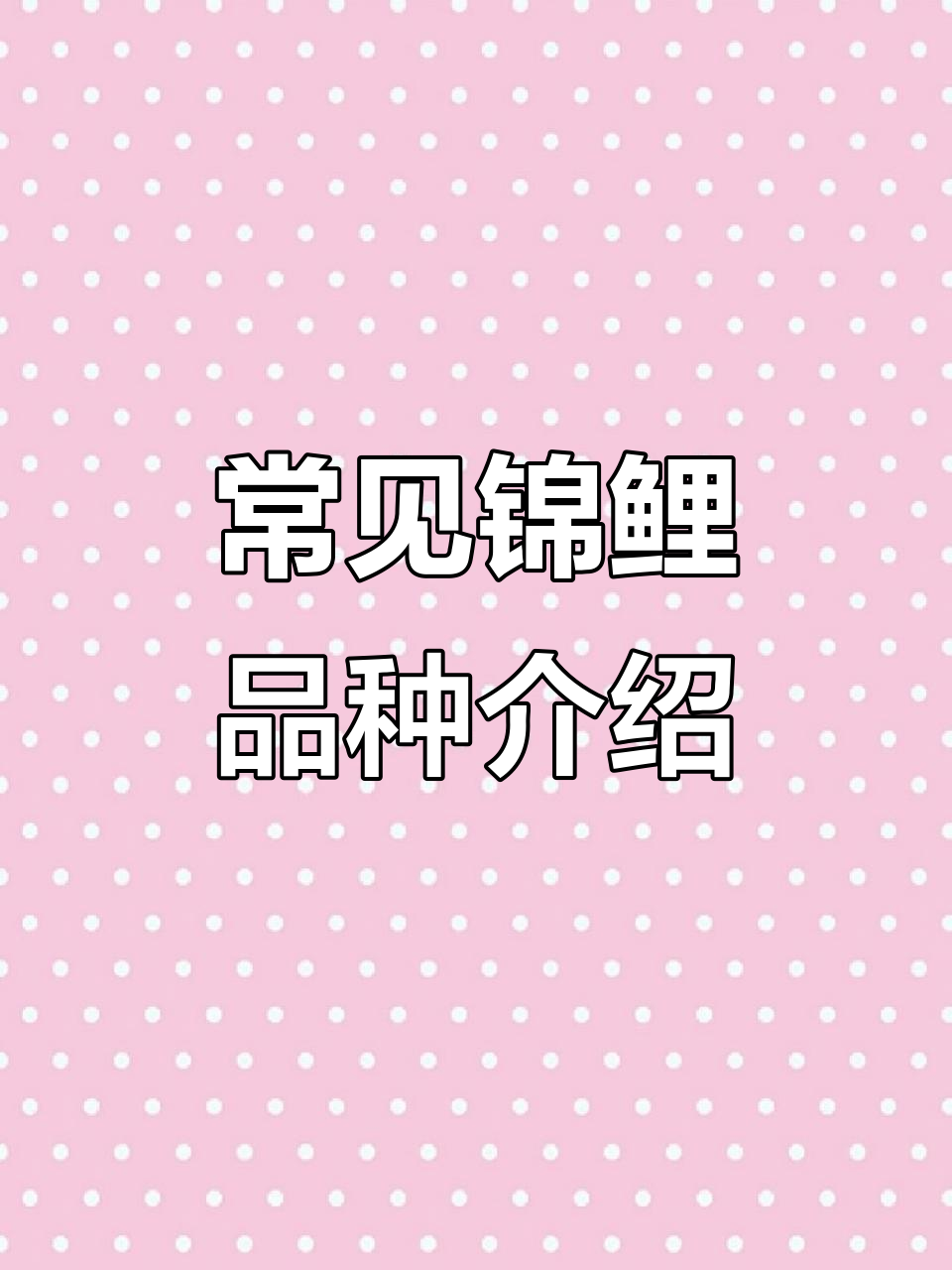 锦鲤品种大揭秘，这些经典颜色你养过吗？
