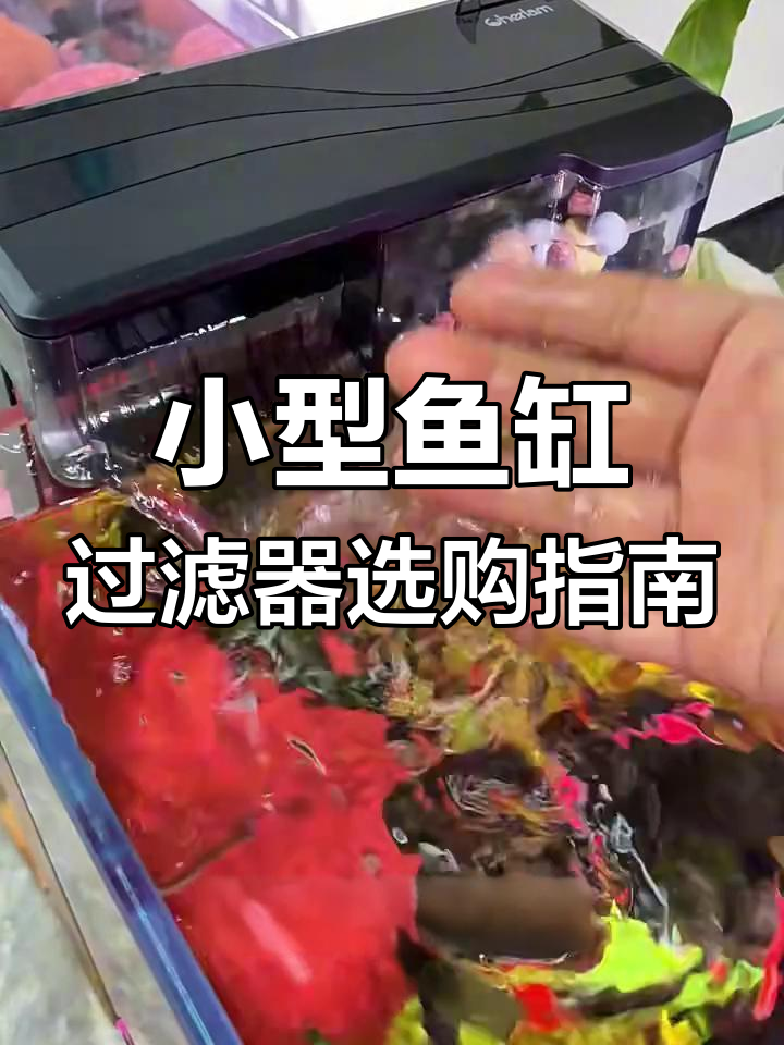 60尺寸以下鱼缸过滤器的选择与安装技巧