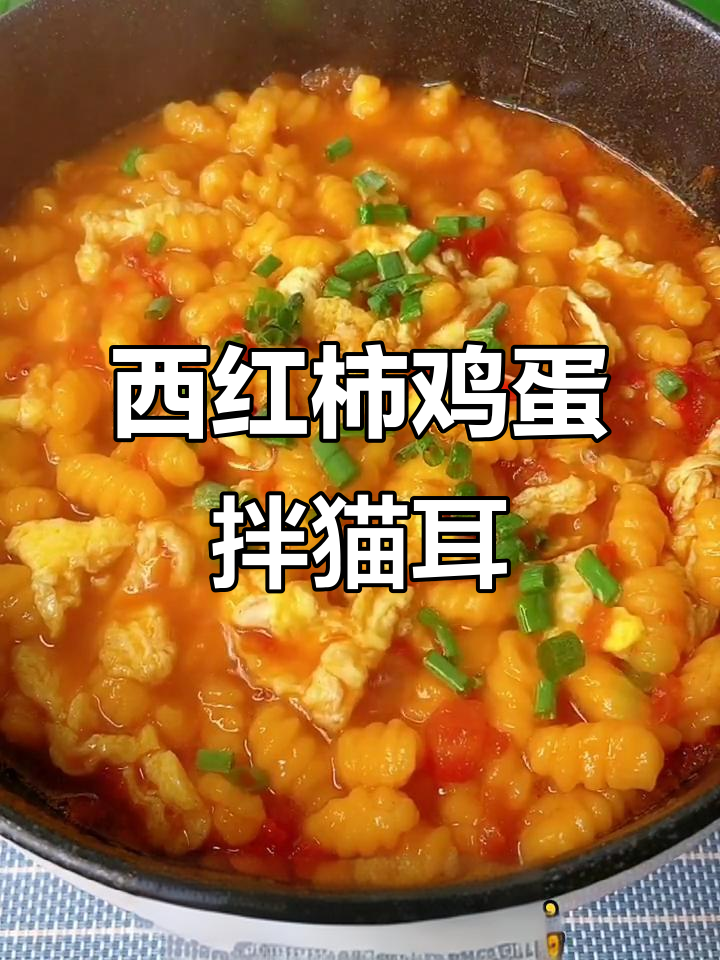 番茄鸡蛋面与猫耳朵的完美搭配,营养又美味