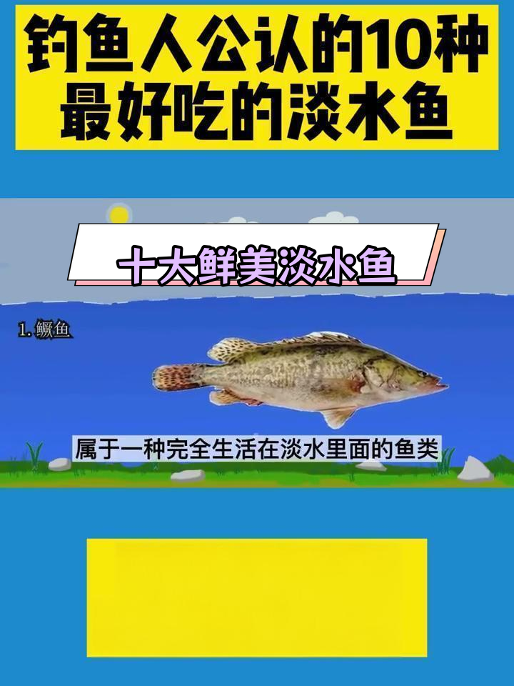 淡水鱼推荐:十种美味低刺鱼类