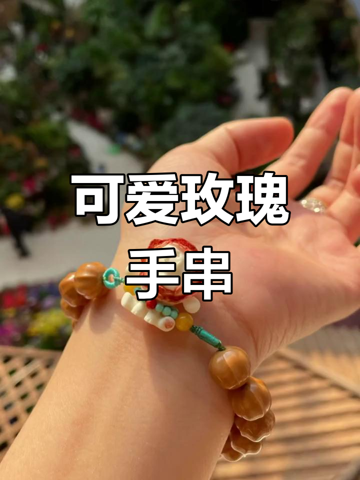 玫瑰女孩与鲨鱼背的创意搭配