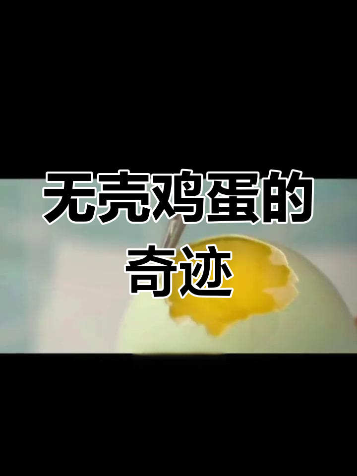蛋液孵化小鸡全过程，心脏跳动震撼揭秘