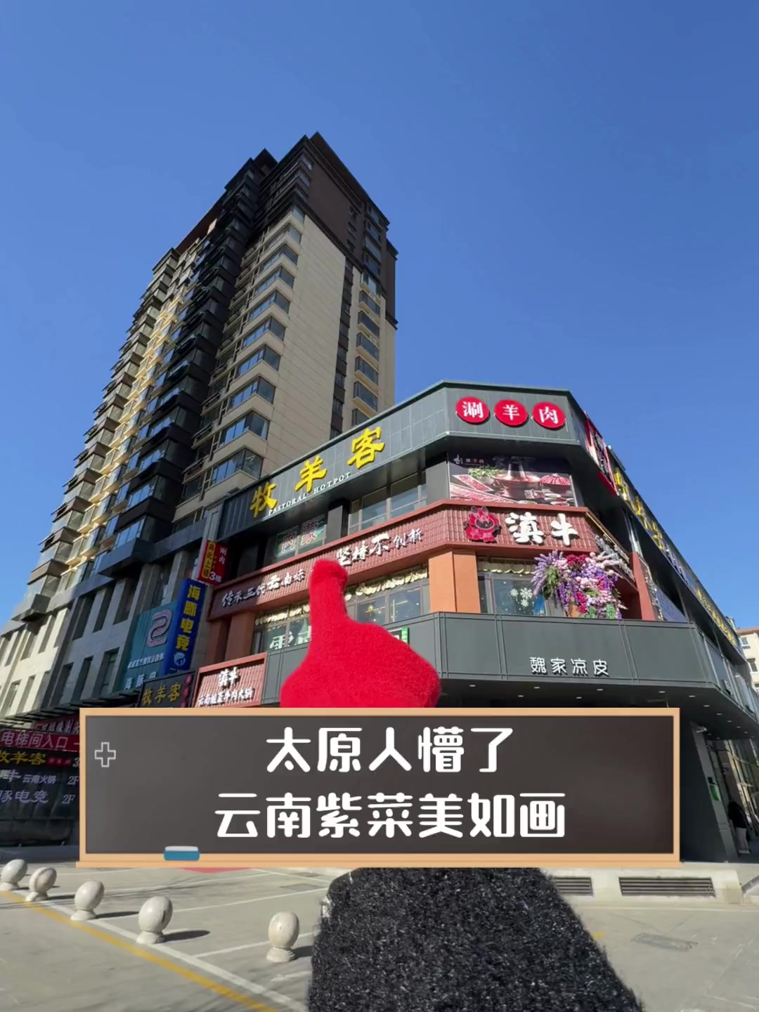 太原人懵了,云南紫菜美如画