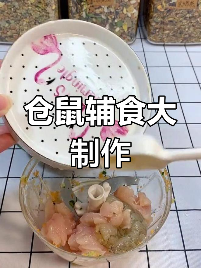 金丝熊大餐准备中,胡萝卜、黄瓜、鸡胸肉一网打尽