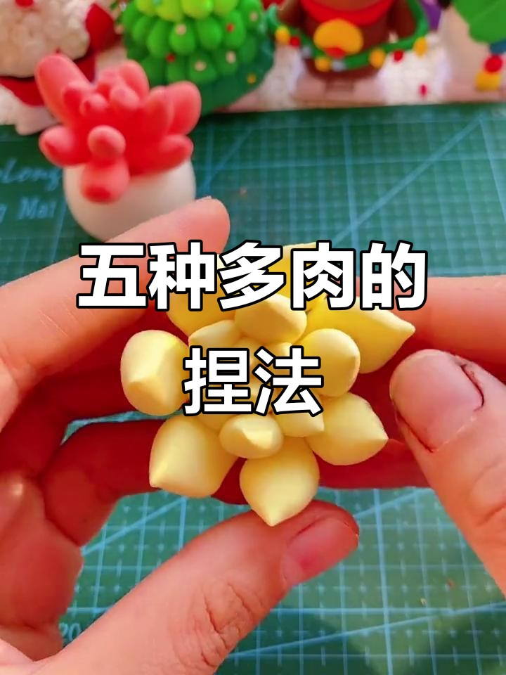 轻松捏出五种可爱多肉植物,超轻粘土教程
